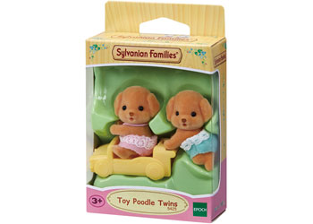 SF - Toy Poodle Twins - Modern Brands Australia
