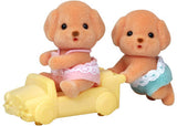 SF - Toy Poodle Twins - Modern Brands Australia