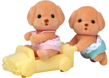 SF - Toy Poodle Twins - Modern Brands Australia