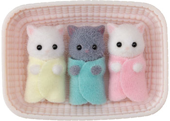 SF - Persian Cat Triplets - Modern Brands Australia