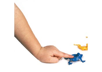 Viking Toys - Jumping Frog Game - 16pcs - Modern Brands Australia