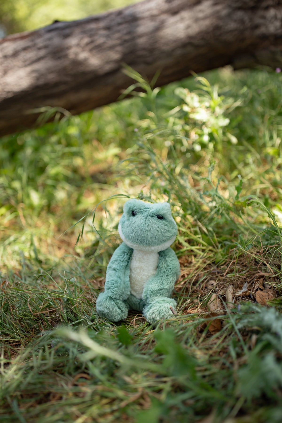 World's Softest Plush - Frog - 25cm
