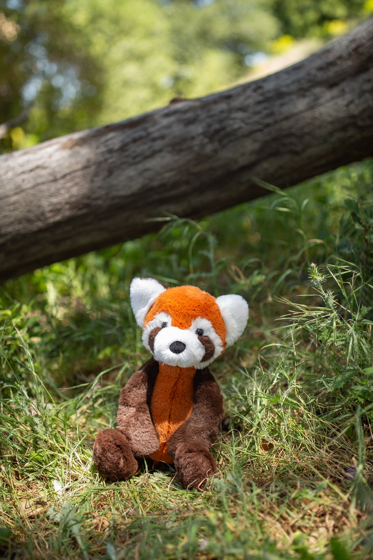 World's Softest Plush - Red Panda - 40cm